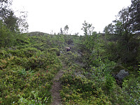 arntfla_20150919_55fdc3d10f966.jpg
