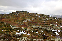 arntfla_20151101_5636327359c46.jpg