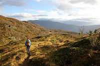 arntfla_20151101_563634c0e658a.jpg
