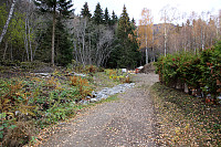 arntfla_20151101_563634cf1aac1.jpg