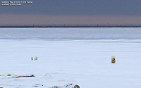 arntfla_20151207_5665f3c8385cd.jpg