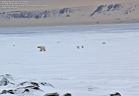 arntfla_20151207_5665f3cc51ab2.jpg