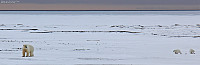 arntfla_20151207_5665f3d00082d.jpg