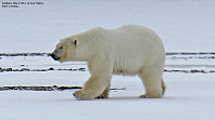 arntfla_20151207_5665f3efa16ff.jpg