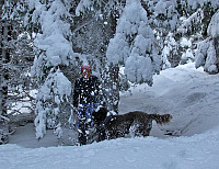 arntfla_20151212_566c2cce54c51.jpg