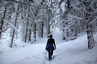 arntfla_20151212_566c2ccfdbcfb.jpg