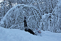 arntfla_20151212_566c2cdacd82c.jpg