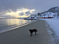 Tidligere i dag - et lite friminutt fra snøkaoset