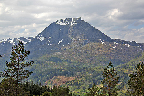 Kvamshesten sett fra Fauskefjellet