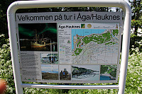 arntfla_hauk01.jpg