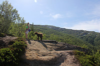 arntfla_hauk03.jpg