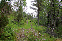 arntfla_kaar150614_img_9100.jpg