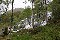 arntfla_kaar150614_img_9105.jpg