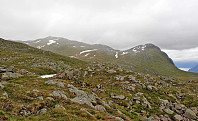 arntfla_kaar150614_img_9116.jpg