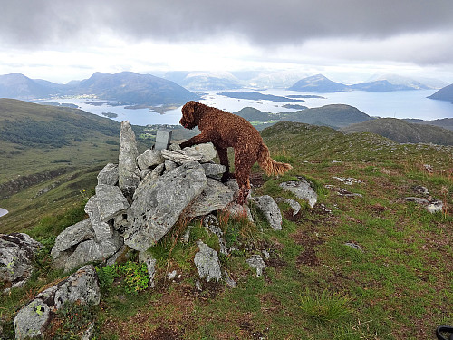 Karma på Røddalshorn