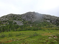 arntfla_lang08.jpg