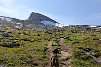 arntfla_perkarl04.jpg