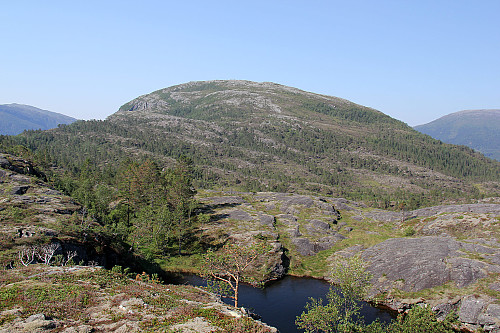 På vei mot Seljemarkfjellet