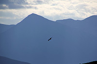 arntfla_skolma16_111014.jpg