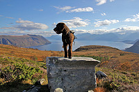 arntfla_skolma22_111014.jpg