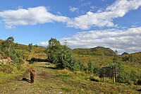 arntfla_varde02.jpg