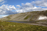arntfla_varde04.jpg