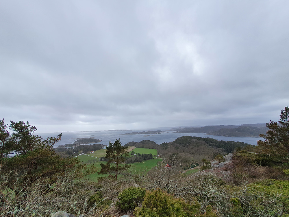 Utsikten fra varden
