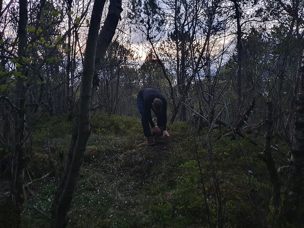 Finn Olav fant bolten under steinene 