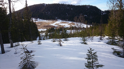 Langåsåsen sett fra lia mot Hogåsen.