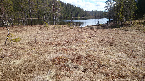 Gimåstjønna mellom Brannåsåsen og Grimåsen.