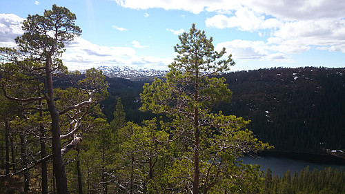 Brannåsåsen (helt til høyre) sett fra Grimåsen.