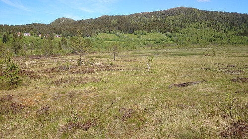 Sognli i det fjerne i finværet. Svartfjellet ligger litt bak toppen i horisonten.