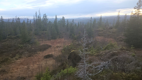 Utsikt sørover fra Åsvollhøgda. Bringen kan skimtes i det fjerne.
