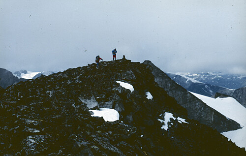 Nesten oppe på Midtre Tverråtind.