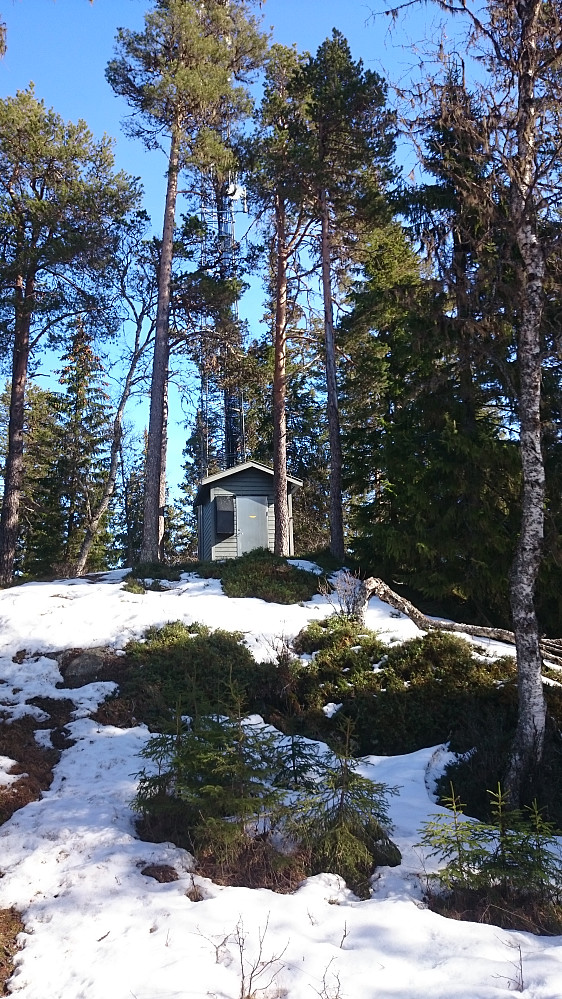 Mast og lita hytte i fint vårvær på Storhåmmåren.