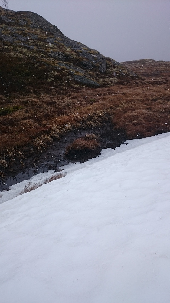 Sein vår i Trøndelag i år ja. Både gammel og ny snø på 700 m høyde den 14. mai.