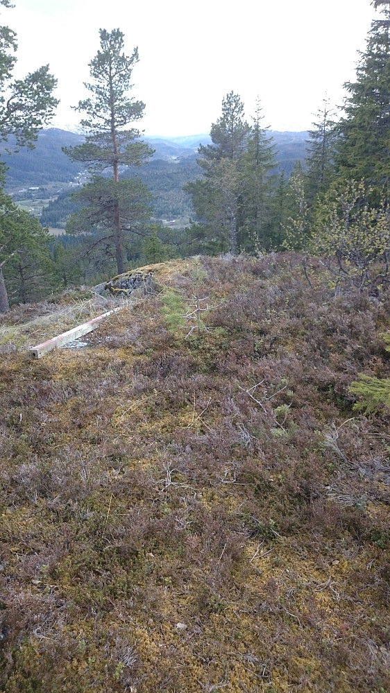 Fra Berbuskamben ser man så vidt ned i "Orkladalen"