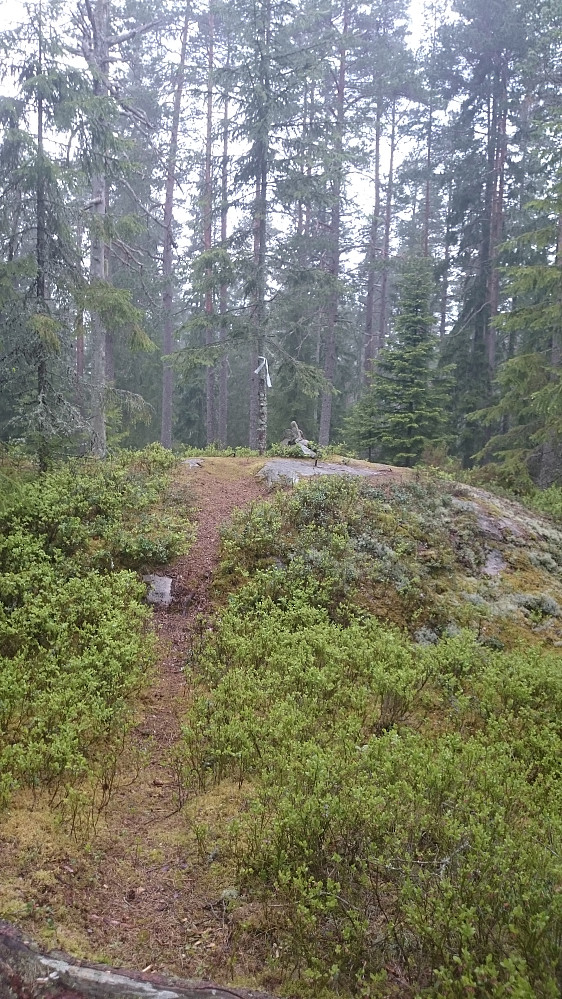 Fylkestoppen i Østfold er vel ikke den mest spektakulære toppen, men skogsturen ble nå fin den iallfall.