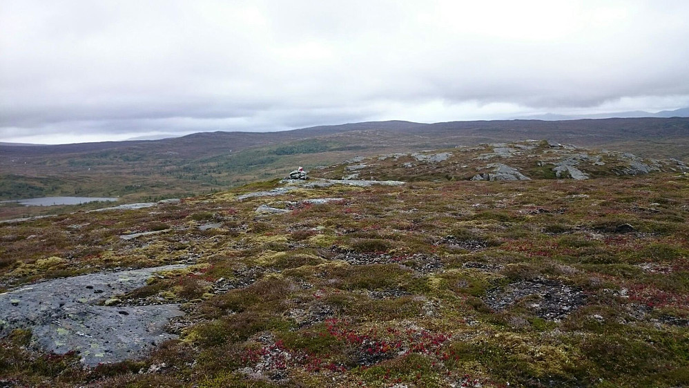 Høgfjellet i horisonten sett fra Vordfjellet.
