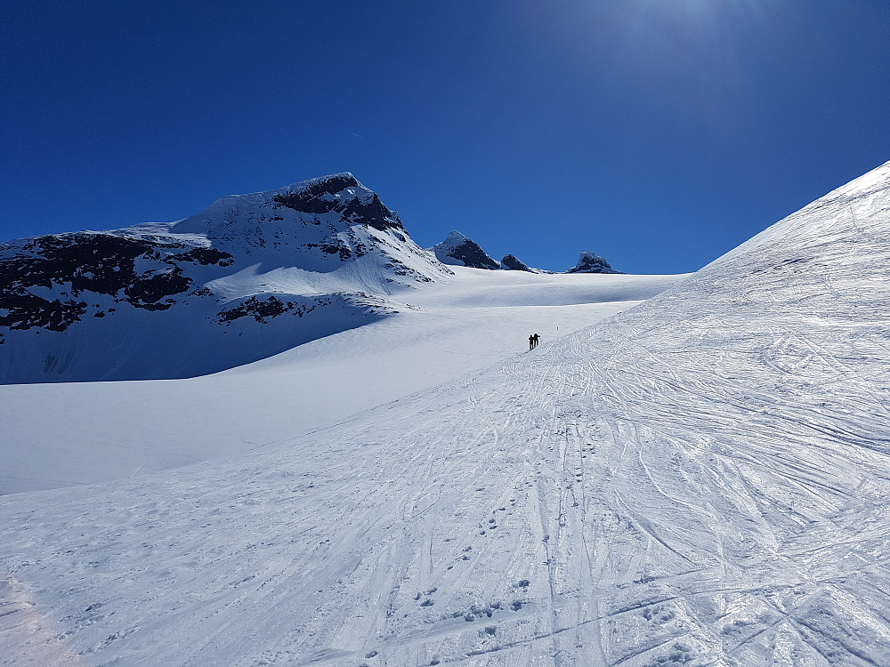 Slik var det hele dagen. De to ungfolene 100-500 m foran og jeg halsende og utslitt etter. Her på veg opp mot Leirbreen med Store Smørstabbtind på siden.