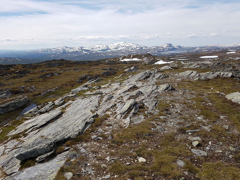 Utsikt vestover fra Blåhåmmårkleppen. Fongen synes i det fjerne med mye snø på nå, selv i begynnelesen på juli. Finnkoisjøen kan skimtes til høyre.