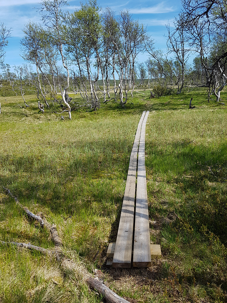 De trykkimpregnerte gangvegene skjemmer stien gjennom denne flotte dalen. Tilretteleggingen har tatt overhånd. Det er ikke skadelig verken å bli våt på beina eller å hoppe over en liten bekk!!