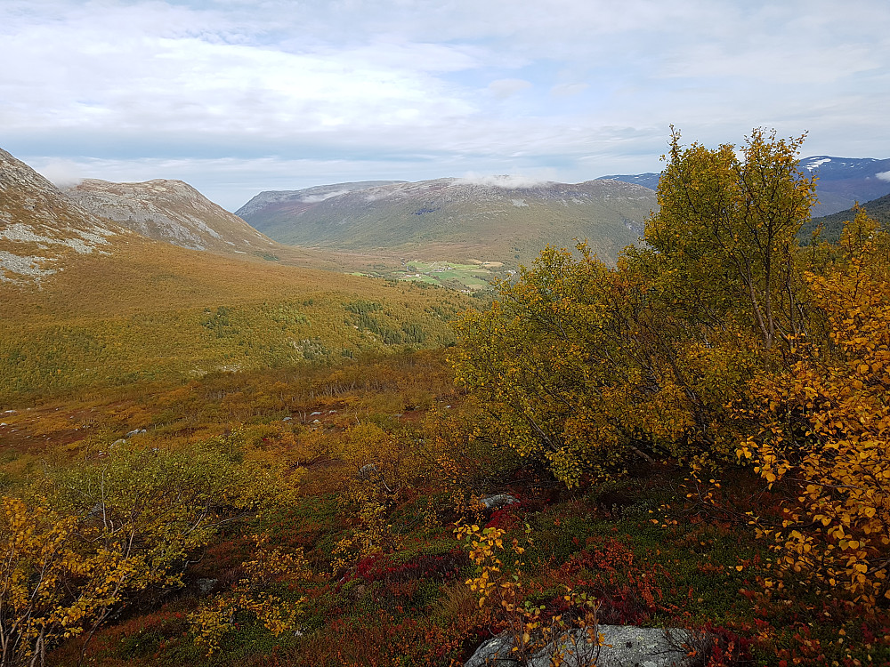 Litt oppe i Skirdådalen ser man over til Fjellgardan i Svisdalen i dette fine høstværet.