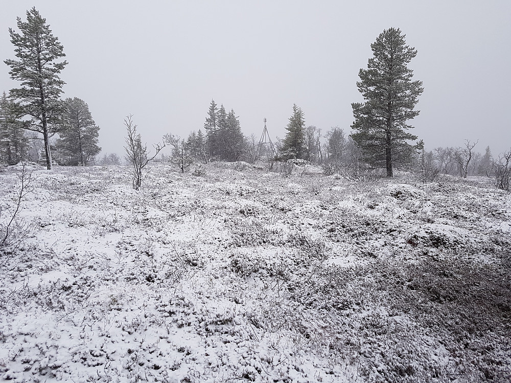 Trigpunktet på Sæteråsen. Toppunktet på Sæteråsen ligger imidlertid til venstre på bildet.