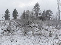 Morsk_20191027_5db5ff57bb057.jpg