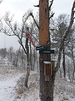 Morsk_20191027_5db5ff5d7467e.jpg