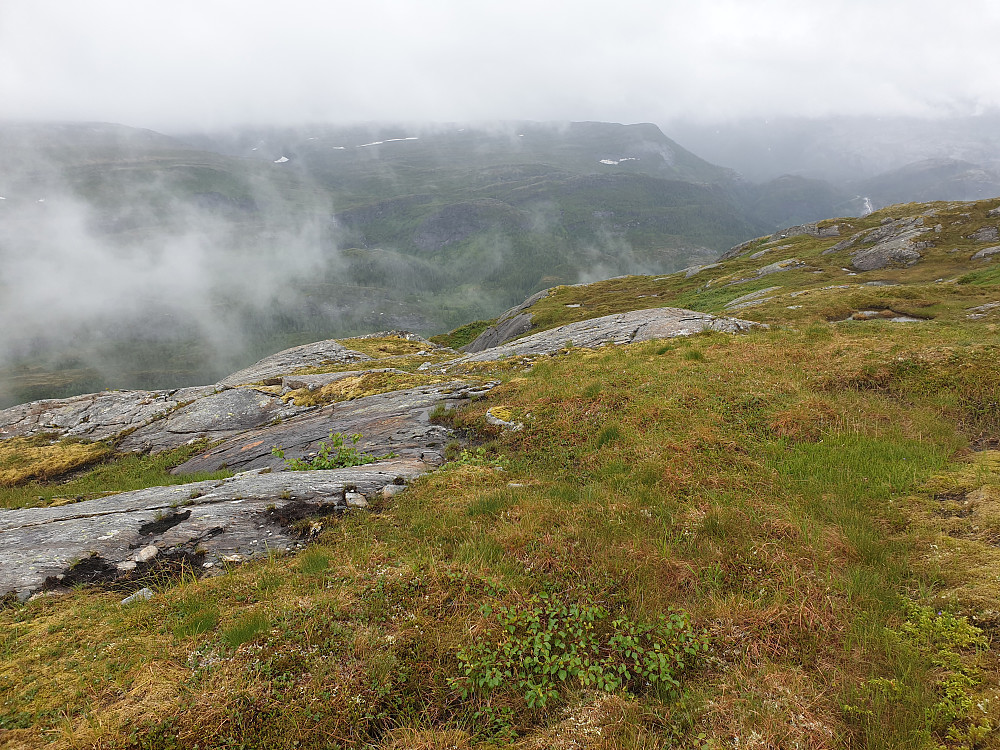 Litt tåke og fuktig i bjørkeskogen. Ser tilbake mot start etter at jeg har kommet opp over tregrensa og over det bratteste.