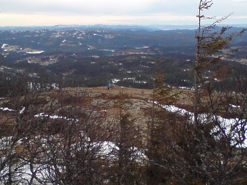 Meg på Baklifjellet NV, Malviks høyeste punkt. Tatt av Lisbeth fra punktet i Selbu kommune hvor hun ventet på meg.