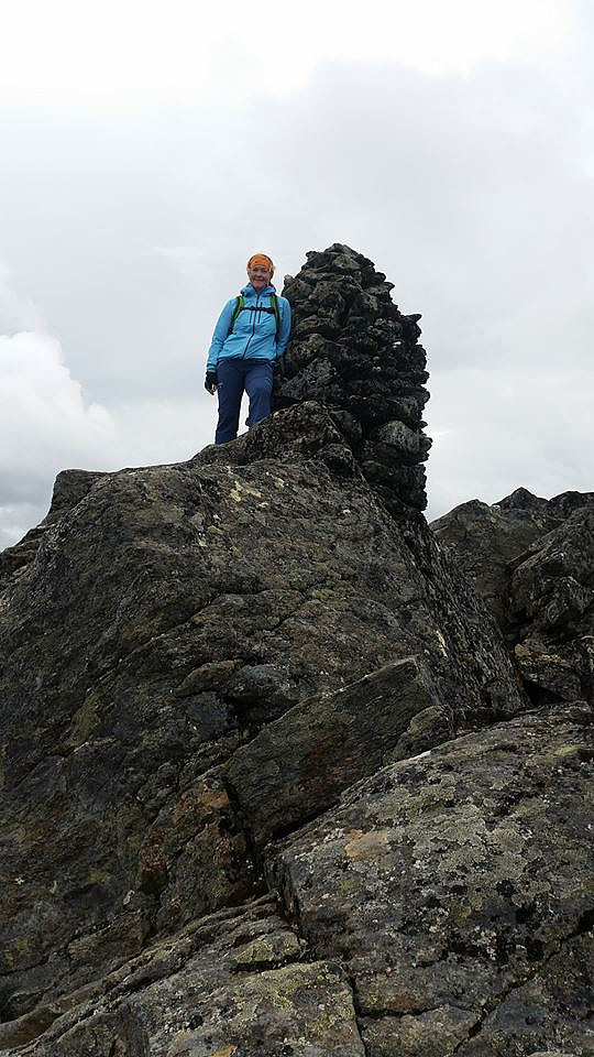 Toppvarden