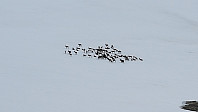 HegeSA_20200918_5f64ade20ae41.jpg